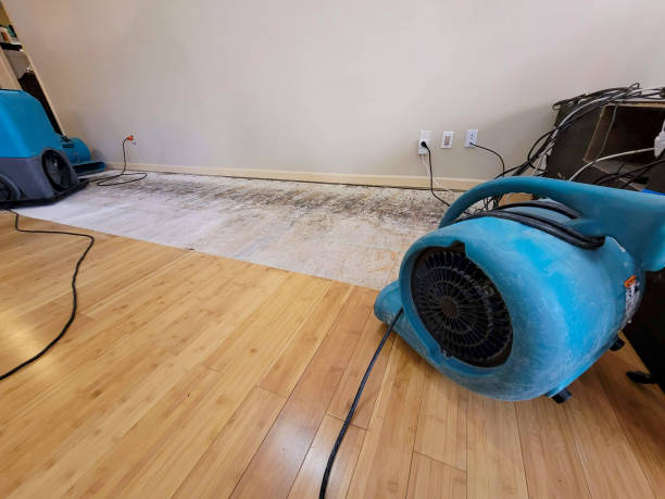Professional Structural Drying technician working in Hardwick, MN